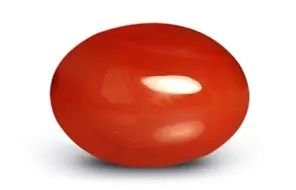 Natural Red Coral (Moonga)