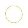 Aleanor Parnika Gold Bangles