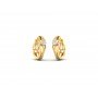 Parnika Cluster Diamond Earrings