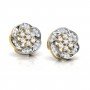 Edenic Diamond Earrings