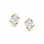 Encompass Daimond Earrings
