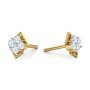 Encompass Daimond Earrings