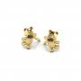 Teddy Kids Gold Earrings
