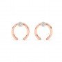 Rose Gold Zircon Studded Circle Earrings
