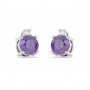 Silver Purple Stone Shining Earrings