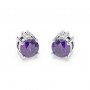 Silver Purple Stone Shining Earrings