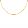 Radiant Sleek Gobi Gold Chain