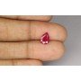 Natural Ruby 1.58 Carat