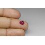 Natural Ruby 1.43 Carat