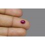 Natural Ruby 1.14 Carat