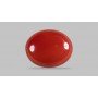 Natural Red Coral 4.47 Carat