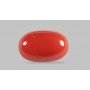 Natural Red Coral 5.93 Carat