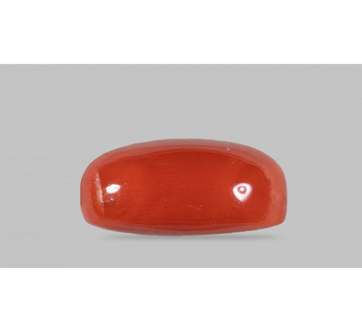 Natural Red Coral 7.34 Carat