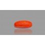 Natural Red Coral 11.77 Carat