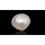 Natural Pearl 4.8 Carat
