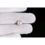 Natural Pearl 6.25 Carat