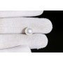 Natural Pearl 6.9 Carat