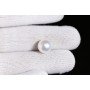 Natural Pearl 7.81 Carat