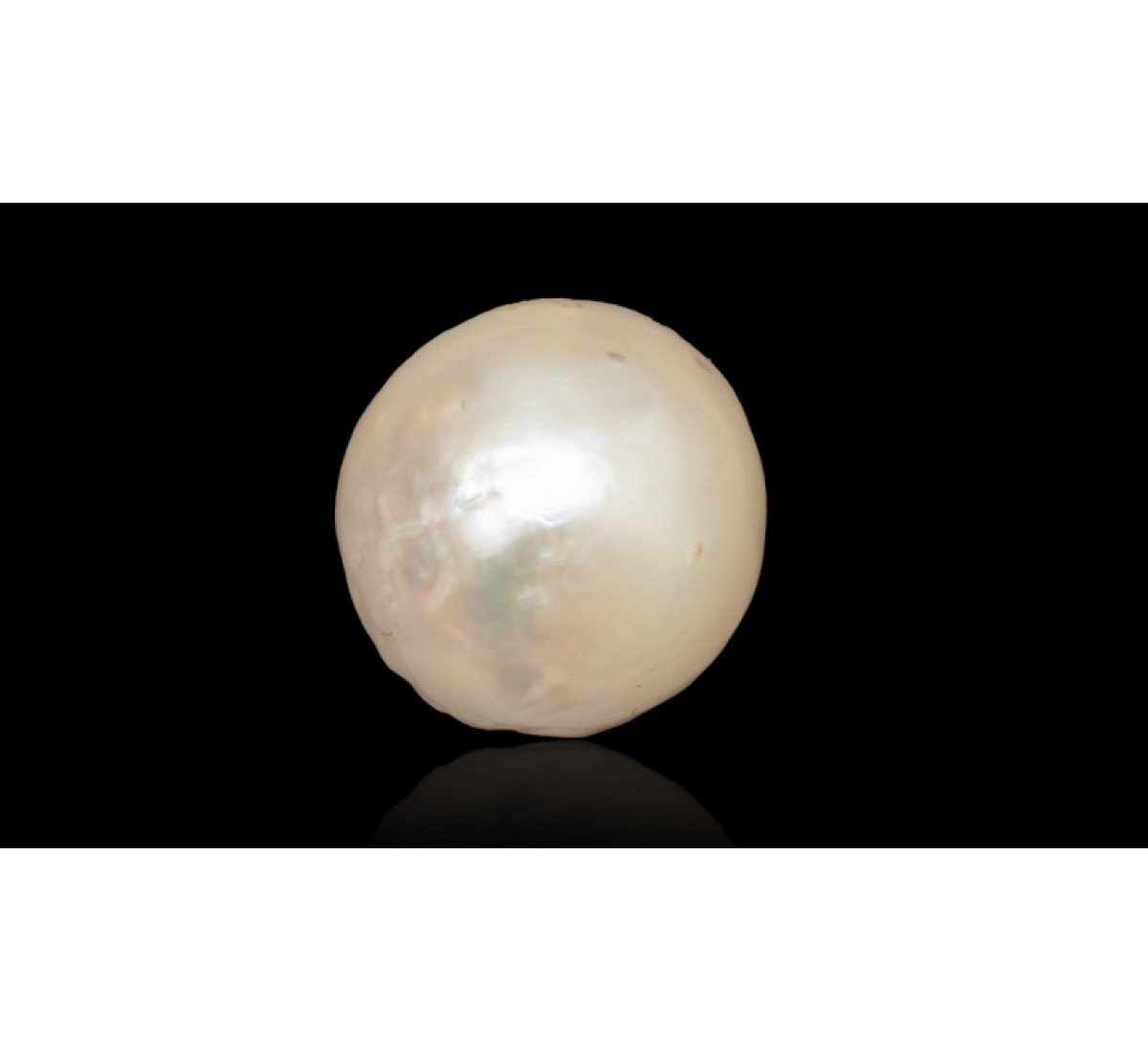 Natural Pearl 2.44 Carat