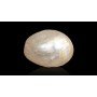 Natural Pearl 2.45 Carat