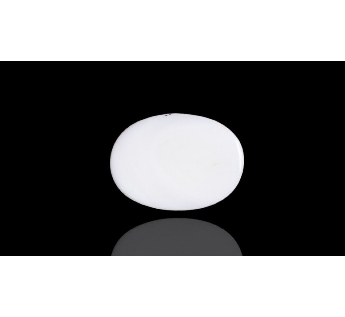 Natural White Coral 9.71 Carat