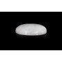 Rainbow Moonstone 18X13 MM 9.93 Carats