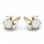 Fiery Diamond Earrings