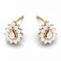 Etain Zuri Diamond Stud