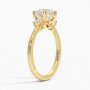 Gilded Galaxy Lab Diamond Ring (2 carat)