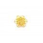 The Jenny Bloom Gold Stud
